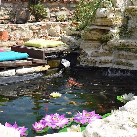 Boutique Villa Rosa Dei Venti Baltjik Exteriör bild